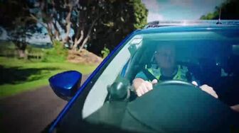 Highway Cops S10E03 HDTV H264-NGP